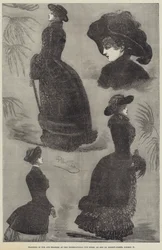 Anuncio, International Fur Store